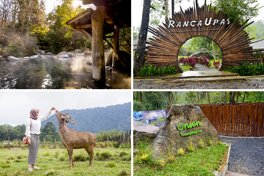 tempat wisata ala jepang- Ranca Upas Bandung