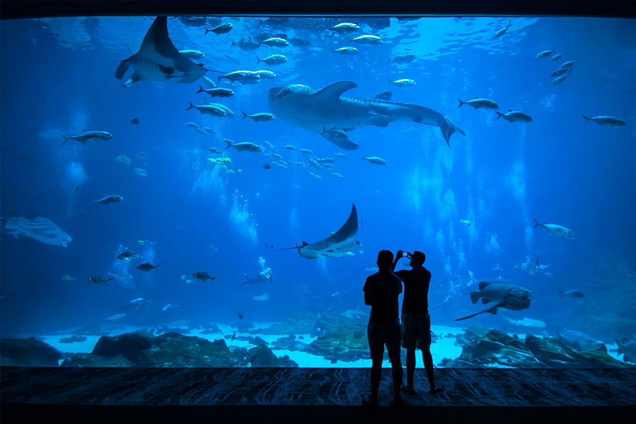 Tempat Wisata di Malaysia - Aquaria KLCC