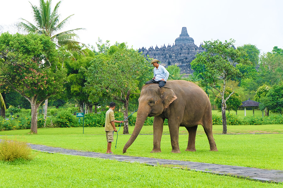 panduan wisata candi borobudur
