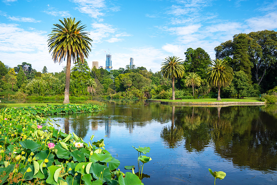 Wisata Melbourne ke Royal Botanic Gardens