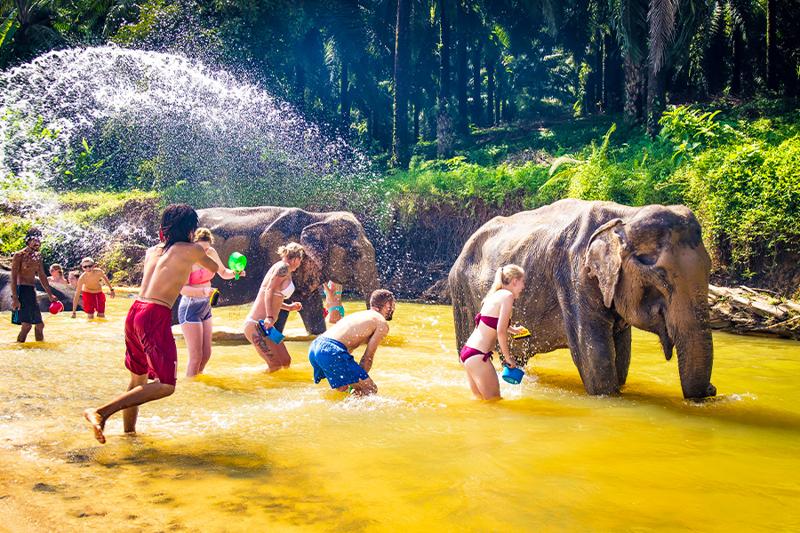 wisata anak di Thailand - Elephant Sanctuary Phuket