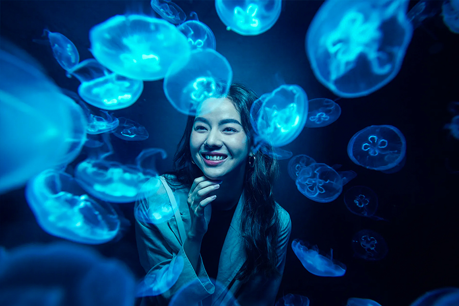 tempat wisata di singapore - S.E.A Aquarium