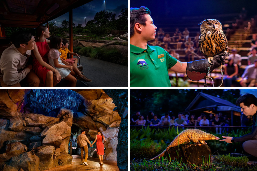 tempat wisata di singapore - Singapore Night Safari