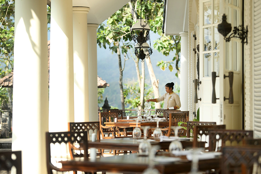 Unique Accommodations in Magelang