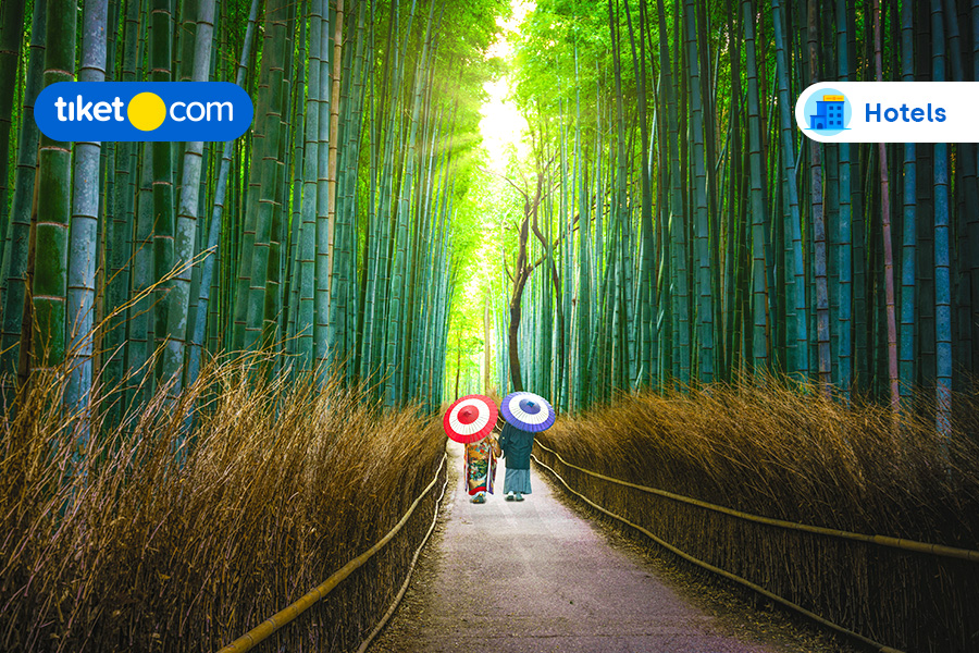 Aishiteru, Here are the Perfect Honeymoon Places in Japan!