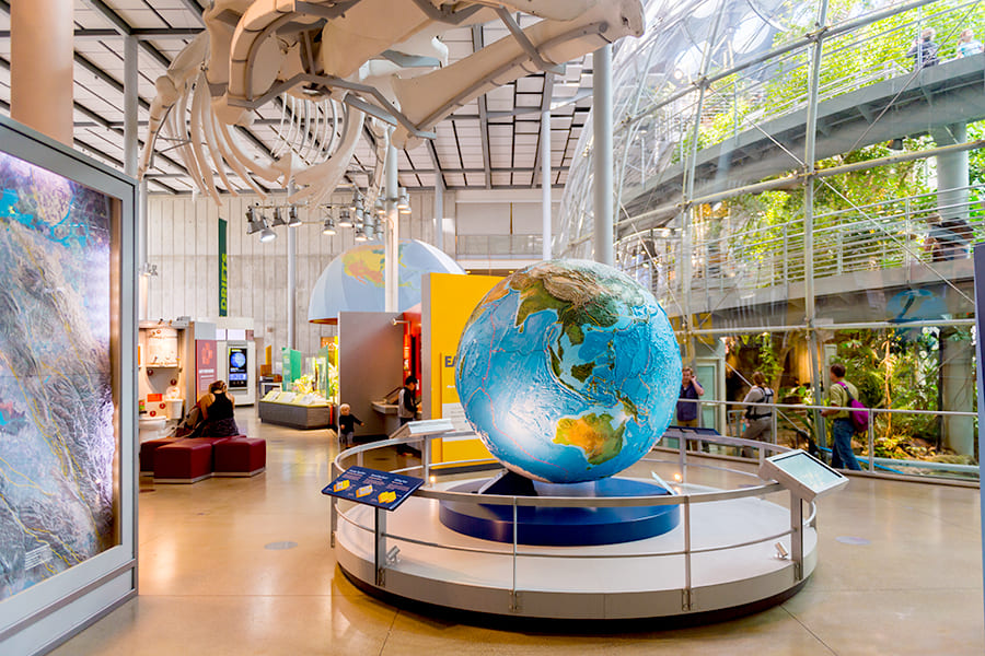 tempat wisata di san francisco - California Academy of Sciences