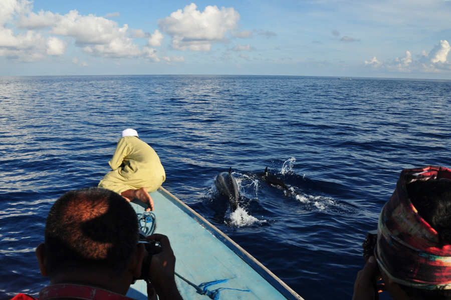 wisata di wakatobi - Pulau Kapota