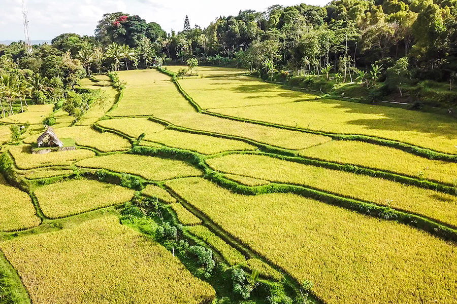 Tempat Wisata di Mandalika