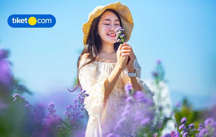 Let’s Visit Flora Wisata Santerra de Laponte, A Beautiful Flower Garden in Malang!