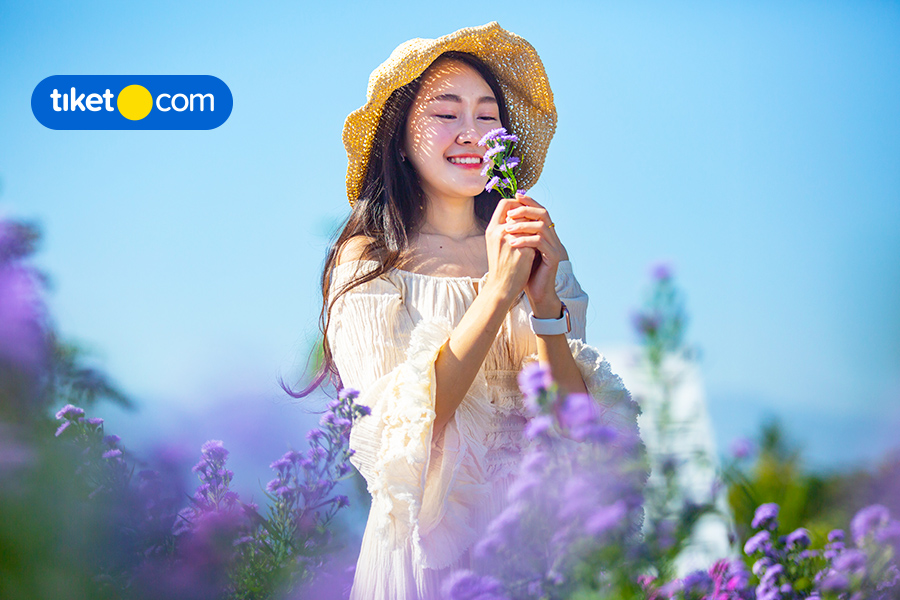 Let’s Visit Flora Wisata Santerra de Laponte, A Beautiful Flower Garden in Malang!