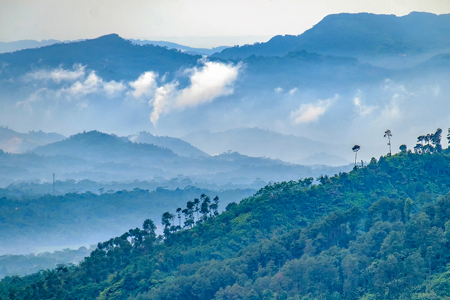 wisata alam di purwokerto - Bukit Tranggulasih