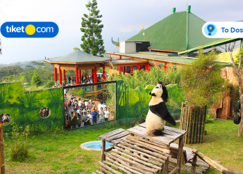 Let’s Visit These 3 Taman Safari in Indonesia and Have Fun!
