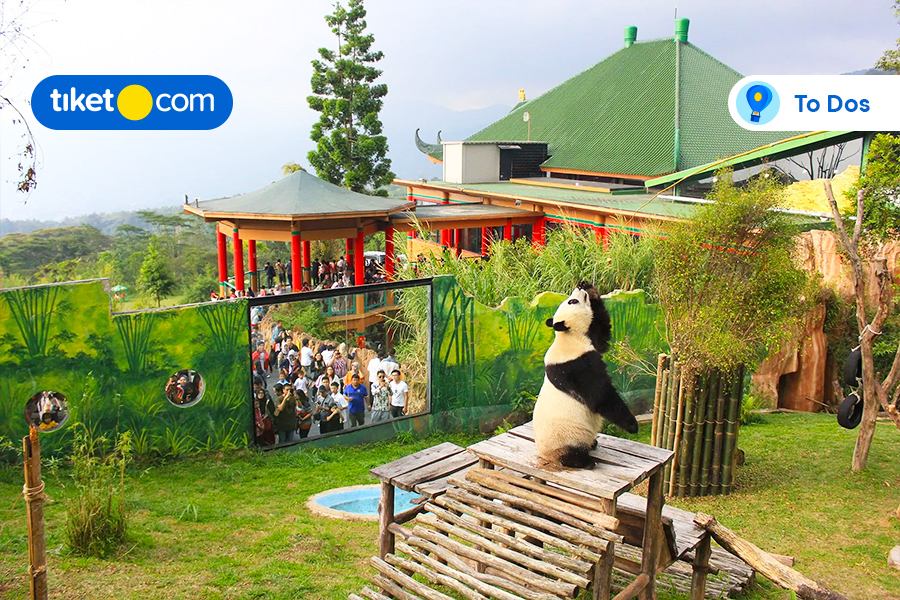 Let’s Visit These 3 Taman Safari in Indonesia and Have Fun!