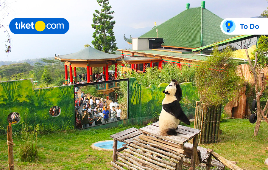 Ayo Kunjungi 3 Taman Safari di Indonesia Ini dan Bertemu Satwa Lucu