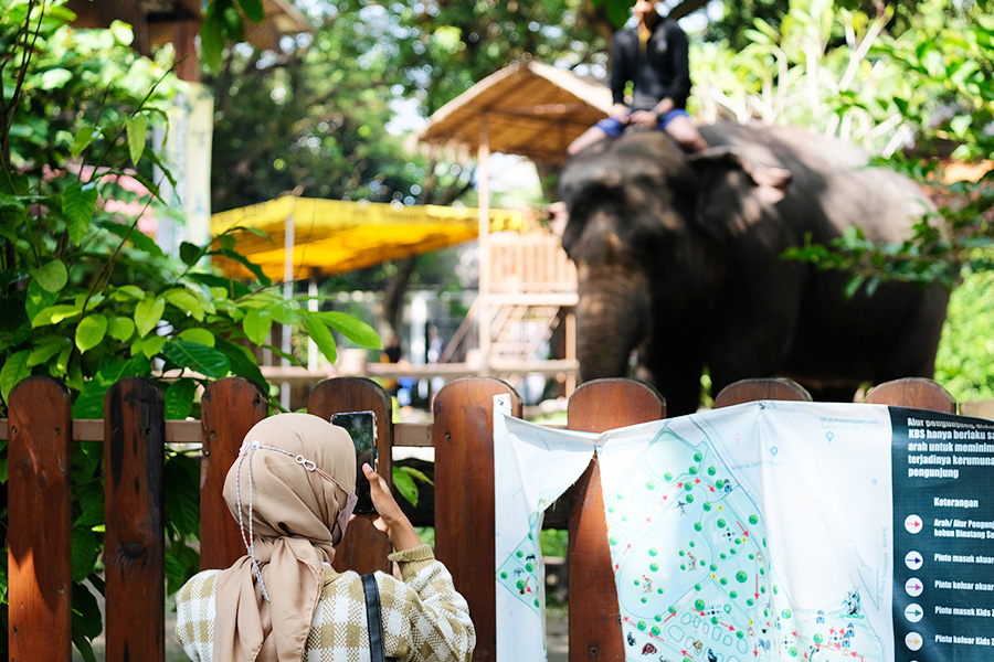 kebun binatang surabaya