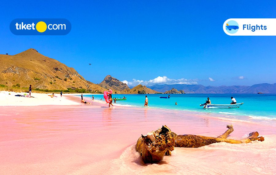 10 Places to Visit in Lombok to Have a Fun-tastic Family Holiday!