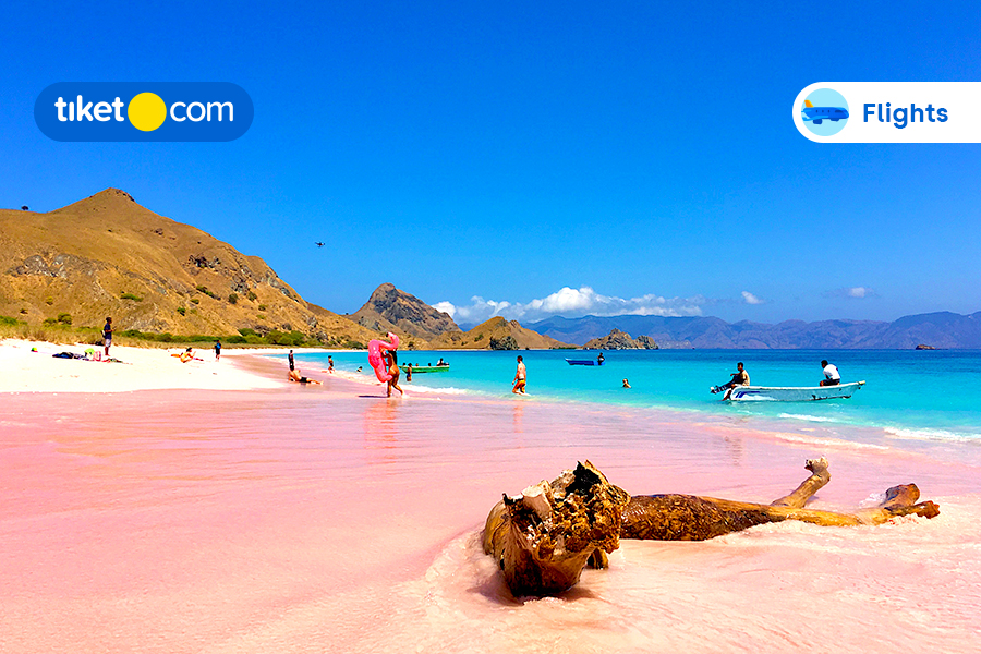 10 Places to Visit in Lombok to Have a Fun-tastic Family Holiday!