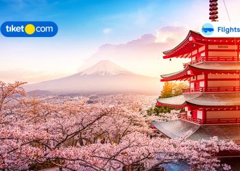 Top Japan’s Natural Wonders: Complete Guide & Info for Your Visit!
