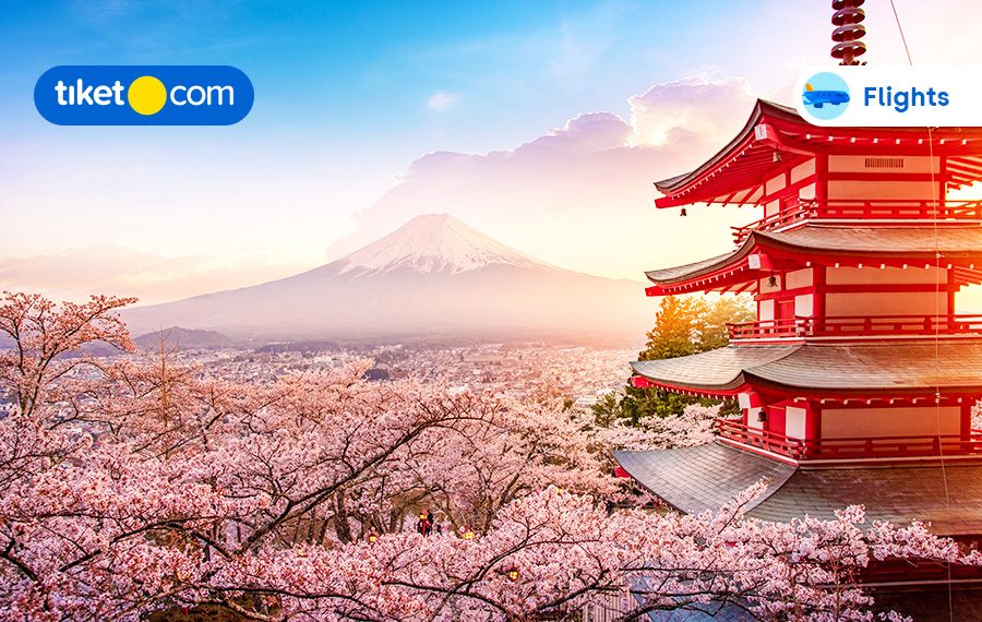 Top Japan’s Natural Wonders: Complete Guide & Info for Your Visit!