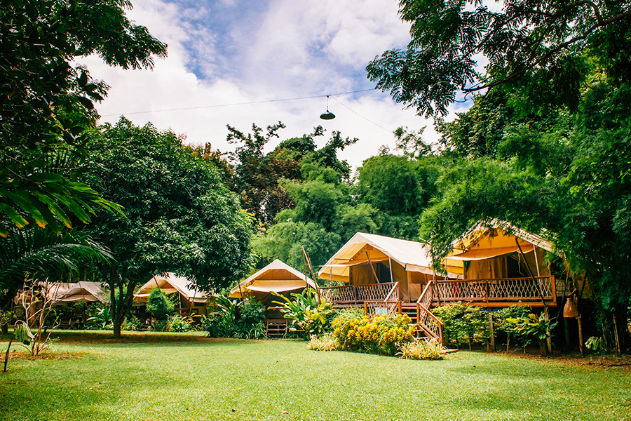 arti glamping