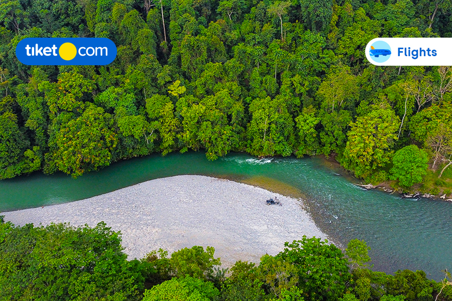 Guide to Explore Tangkahan Ecotourism, Make Your Trip Unforgettable!