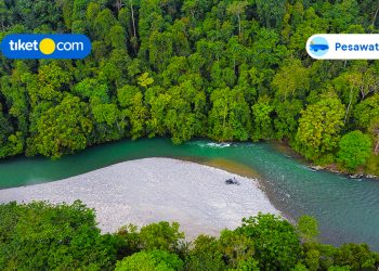 Panduan Eksplor Wisata Alam Tangkahan Sumatra Utara, Dijamin Berkesan!