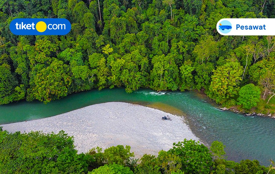 Panduan Eksplor Wisata Alam Tangkahan Sumatra Utara, Dijamin Berkesan!