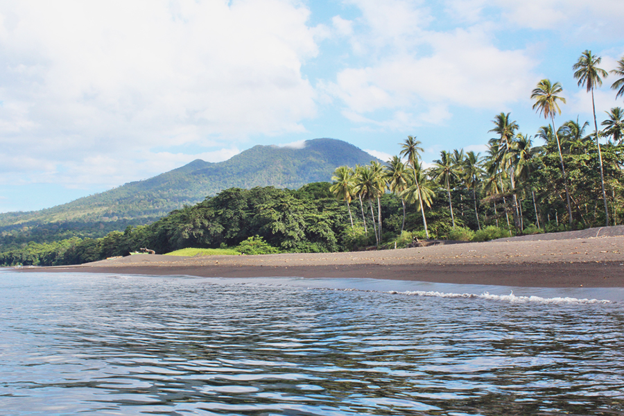things to do in manado - Tangkoko National Park