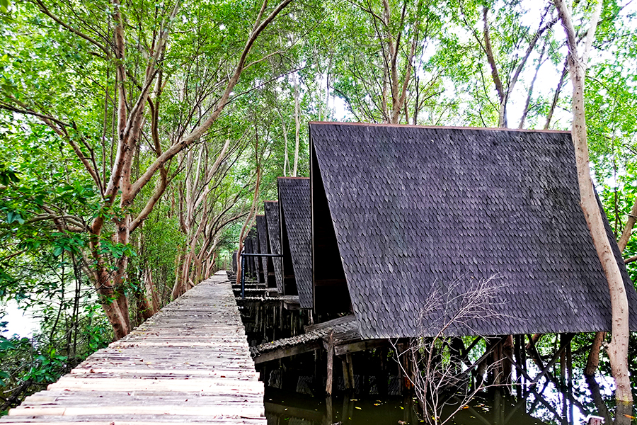 Taman Wisata Alam Angke Kapuk