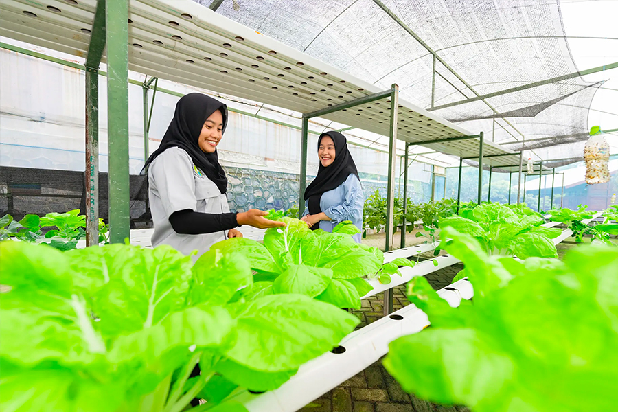 Wisata Sehari di Surabaya - Edukasi & Resort Kebun Pak Budi