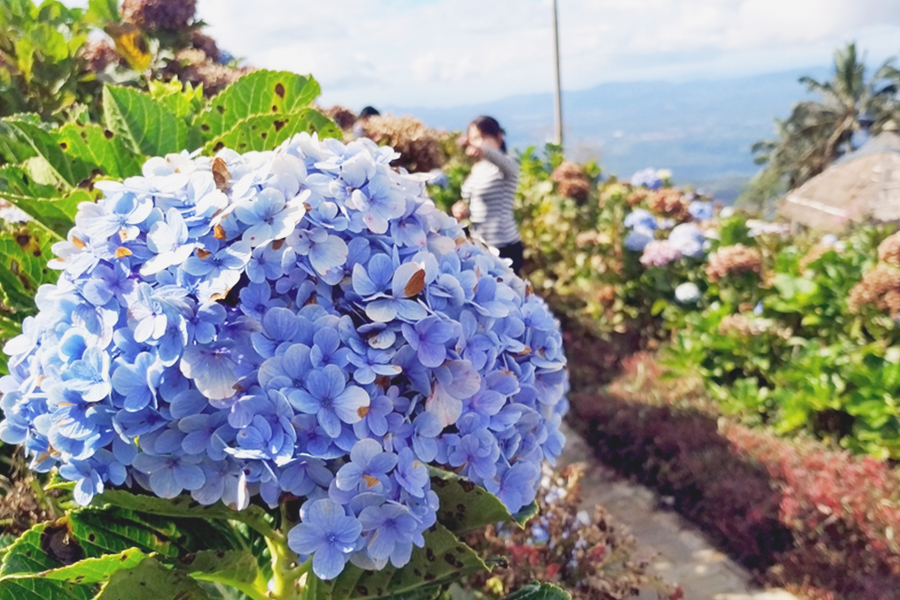 Aktivitas Seru di Manado