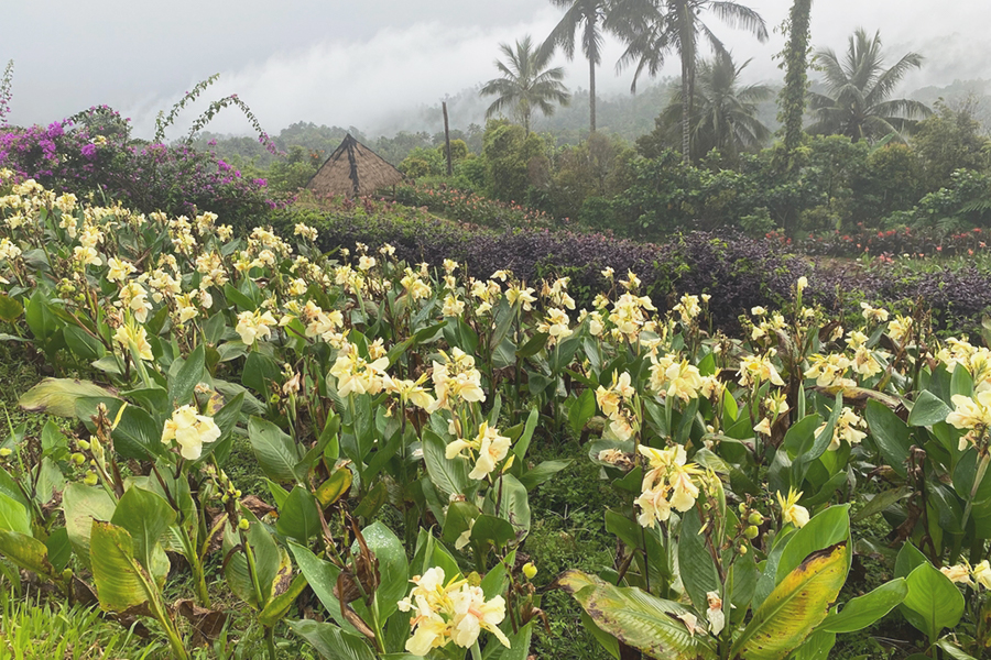 Aktivitas Seru di Manado