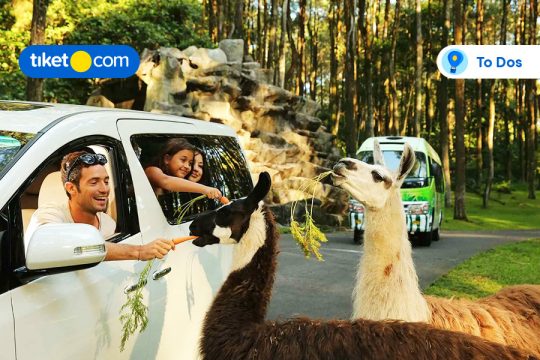Taman Safari Prigen