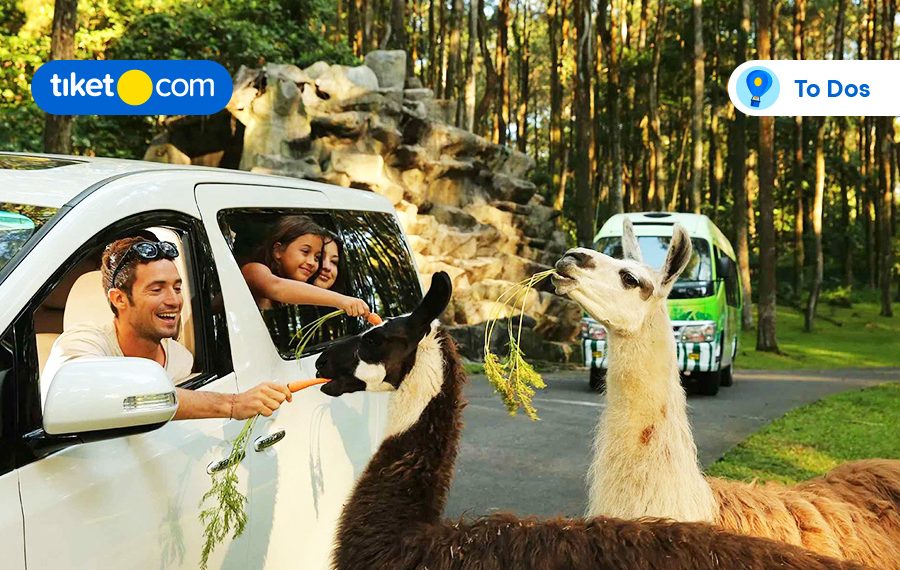 Taman Safari Prigen