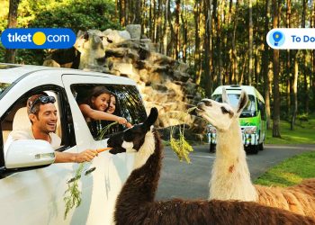 Taman Safari Prigen