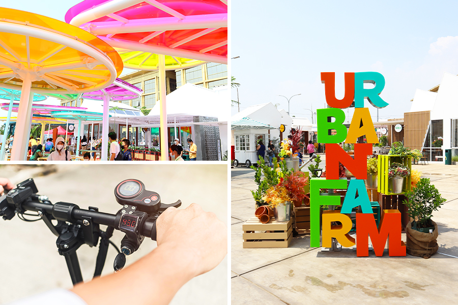 wisata di pantai indah kapuk - Urban Farm
