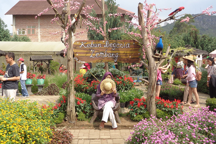 tempat wisata di maribaya - Kebun Begonia