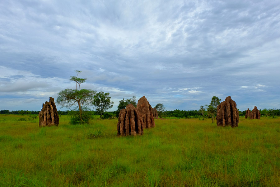 places in Merauke - Giant Anthill Muramus