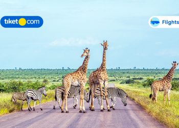 The Ultimate Guide for the Best Holiday in South Africa!