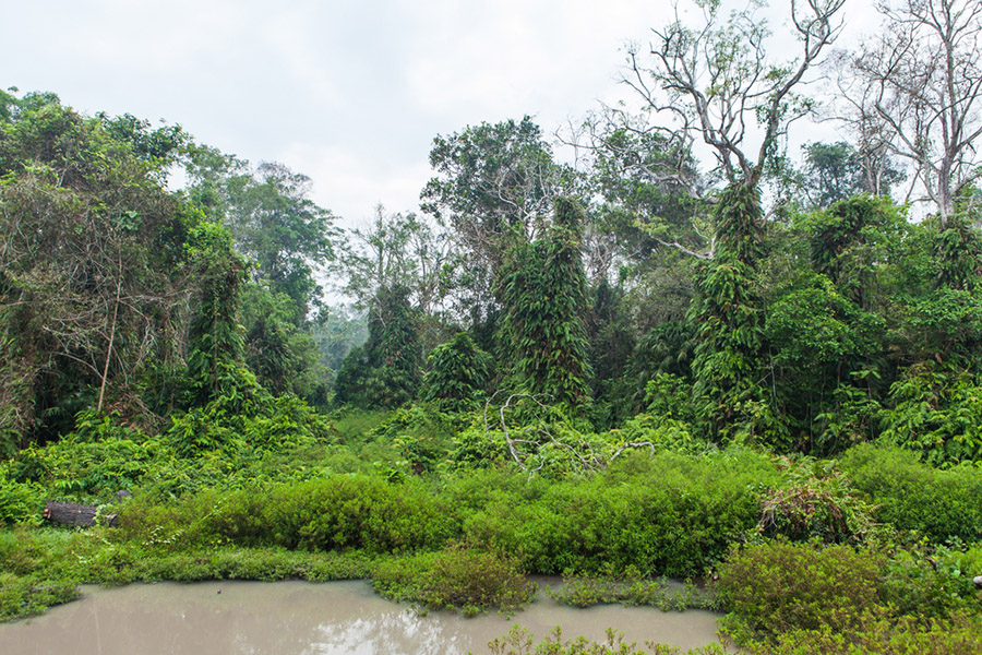 places in Merauke - Wasur National Park