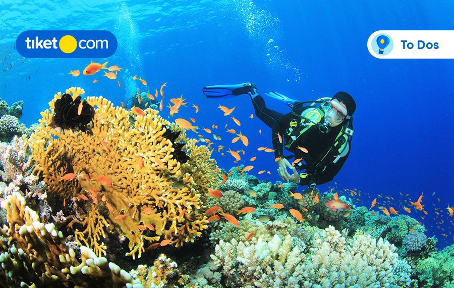 5D4N Cheery and Merry Vacay in Manado: Top Things to Do With Family