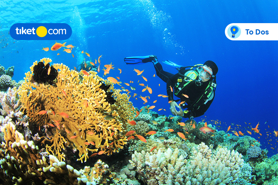 5D4N Cheery and Merry Vacay in Manado: Top Things to Do With Family