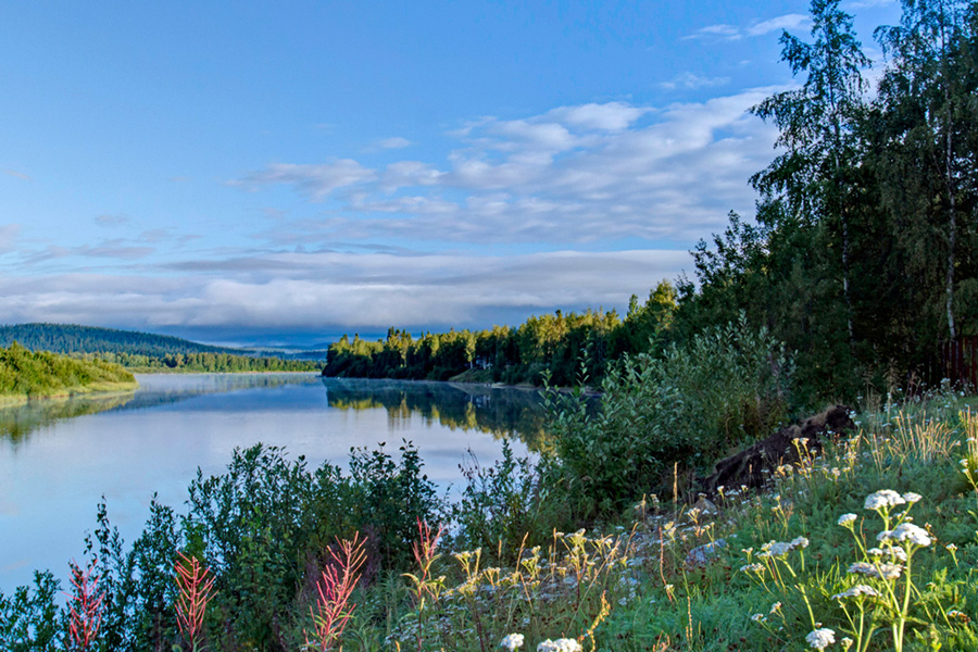 Ivalo