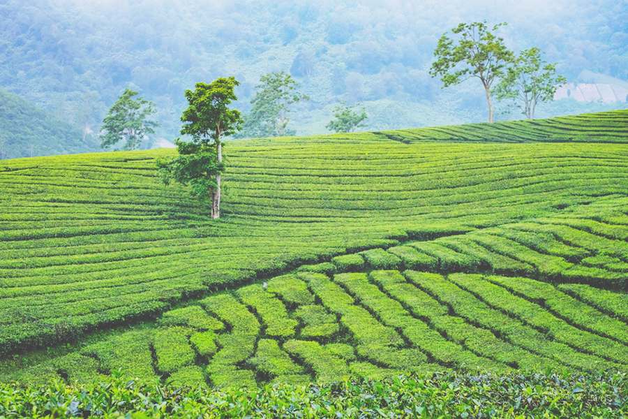 Relaxing places in Subang