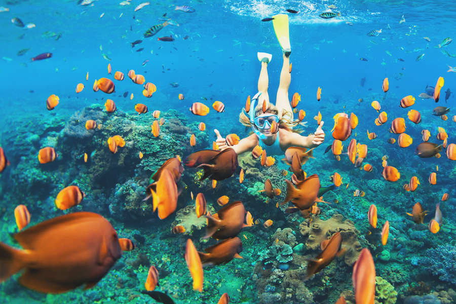 Maldives Itinerary - Banana Reef