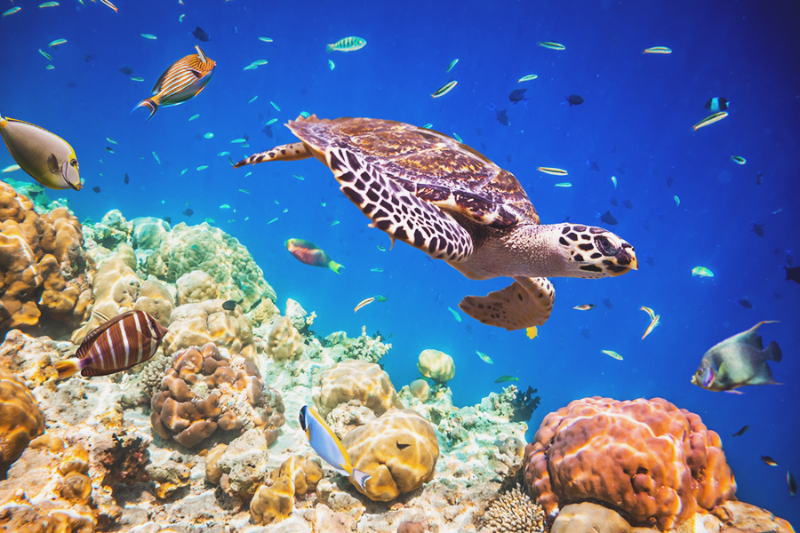 itinerary Maldives