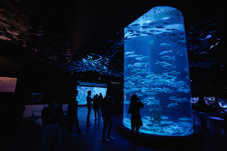 educational tour jakarta - jakarta aquarium