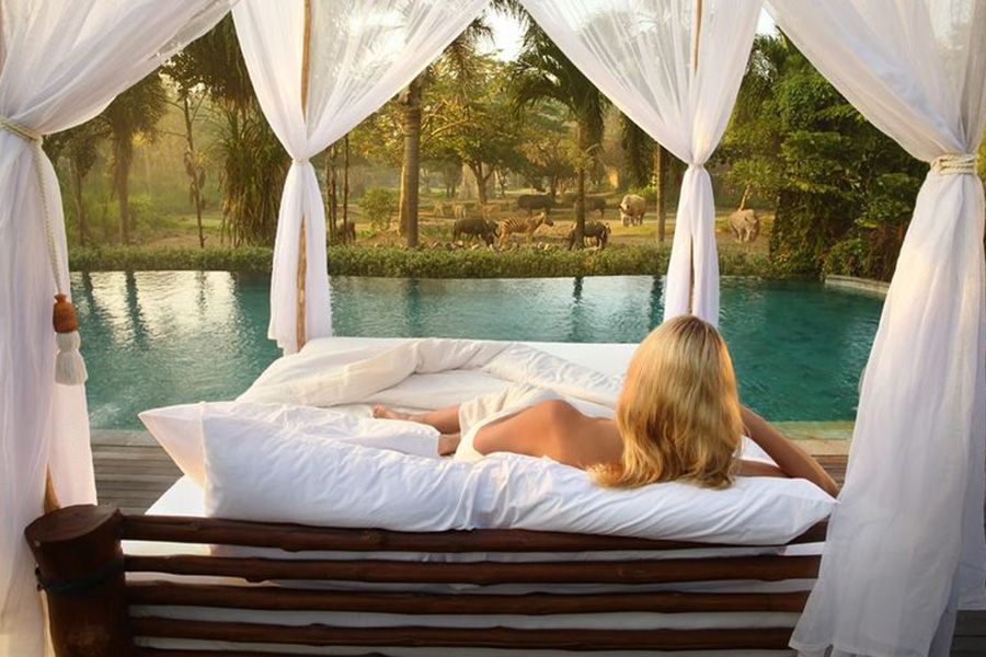 mara river and safari lodge
