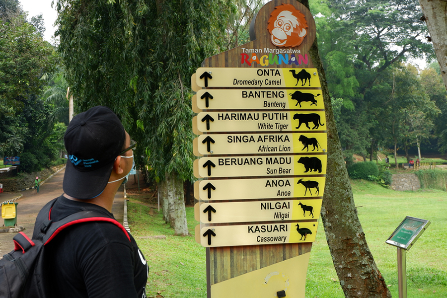 educational tour jakarta - ragunan zoo
