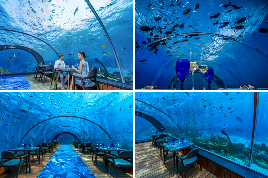 Resort Romantis di Maldives